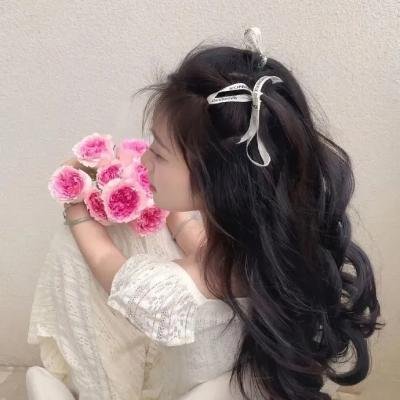 黑帮掌门人